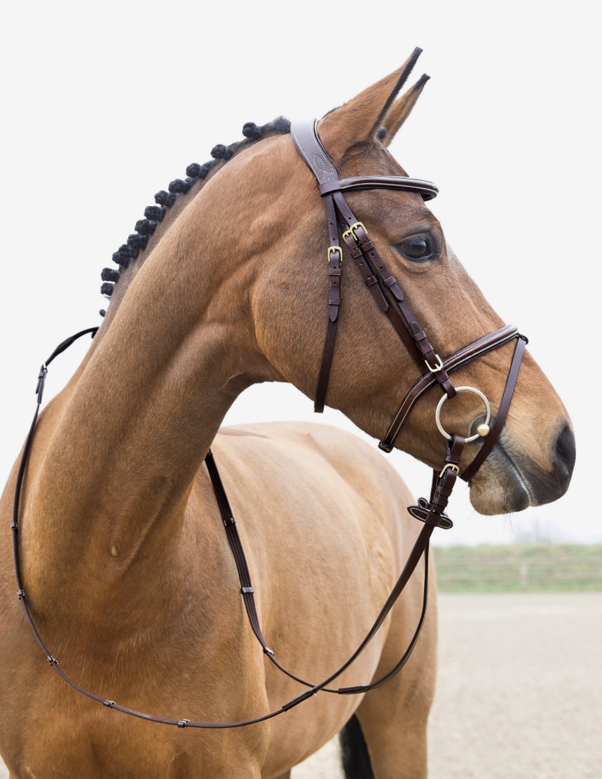 horzeコンスタンス手綱付き頭絡