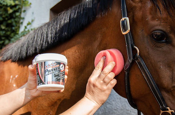 Leovetパワーフェイザー・虫除けジェル - 画像 (2)