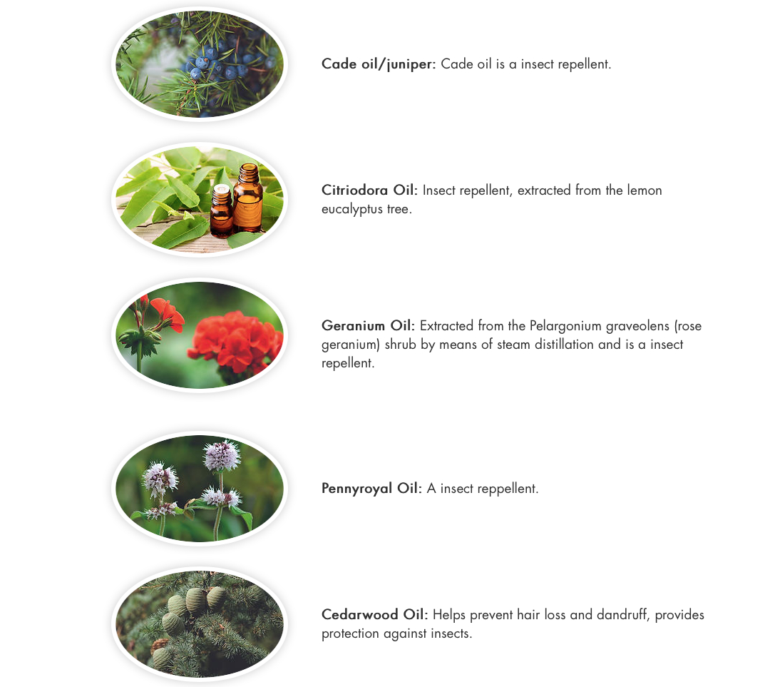 Leovetパワーフェイザー・虫除けジェル - 画像 (3)