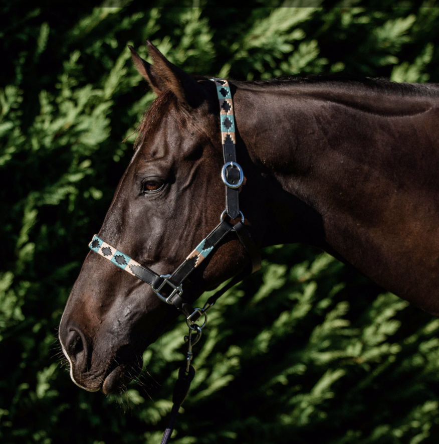 Double Hillポロ革無口