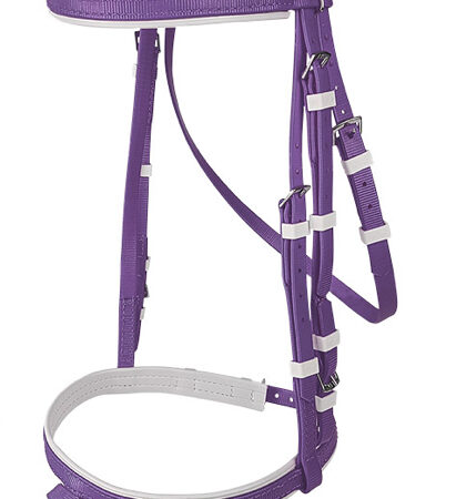 Zilcoカラー PVCコンビ鼻革頭絡