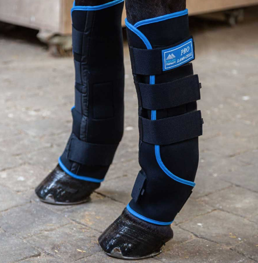 Lami-Cel Proアイスブーツ