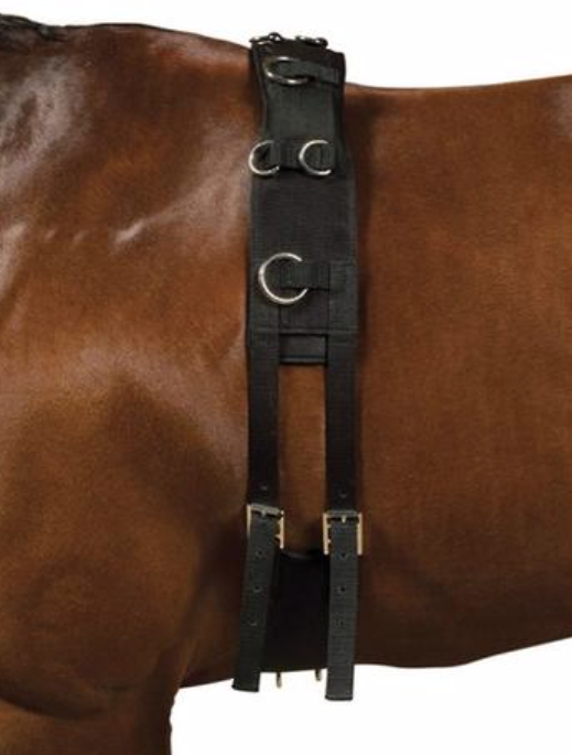 Kincadeエクイグリップ・ランジローラー