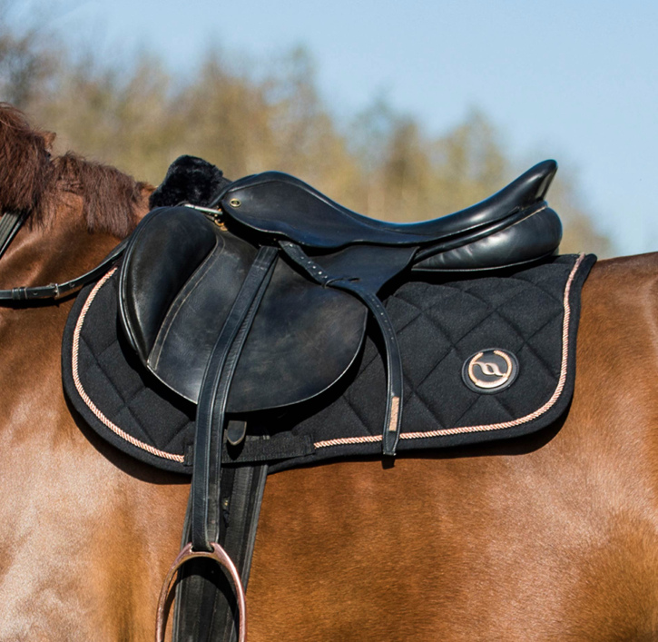 Back on Trackヘイズコレクション・ジャンピングゼッケン