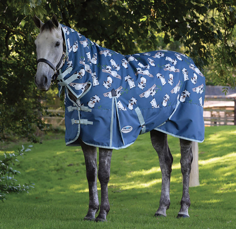 Weatherbeetaコンフィテック・エッセンシャル・コンボミディアム 220g-2022限定モデル