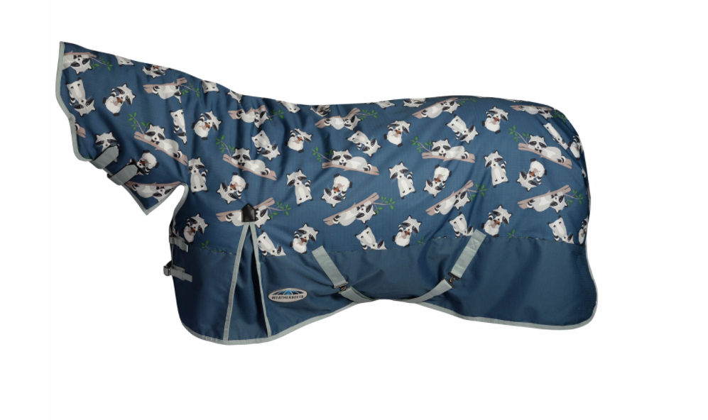 Weatherbeetaコンフィテック・エッセンシャル・コンボミディアム 220g-2022限定モデル