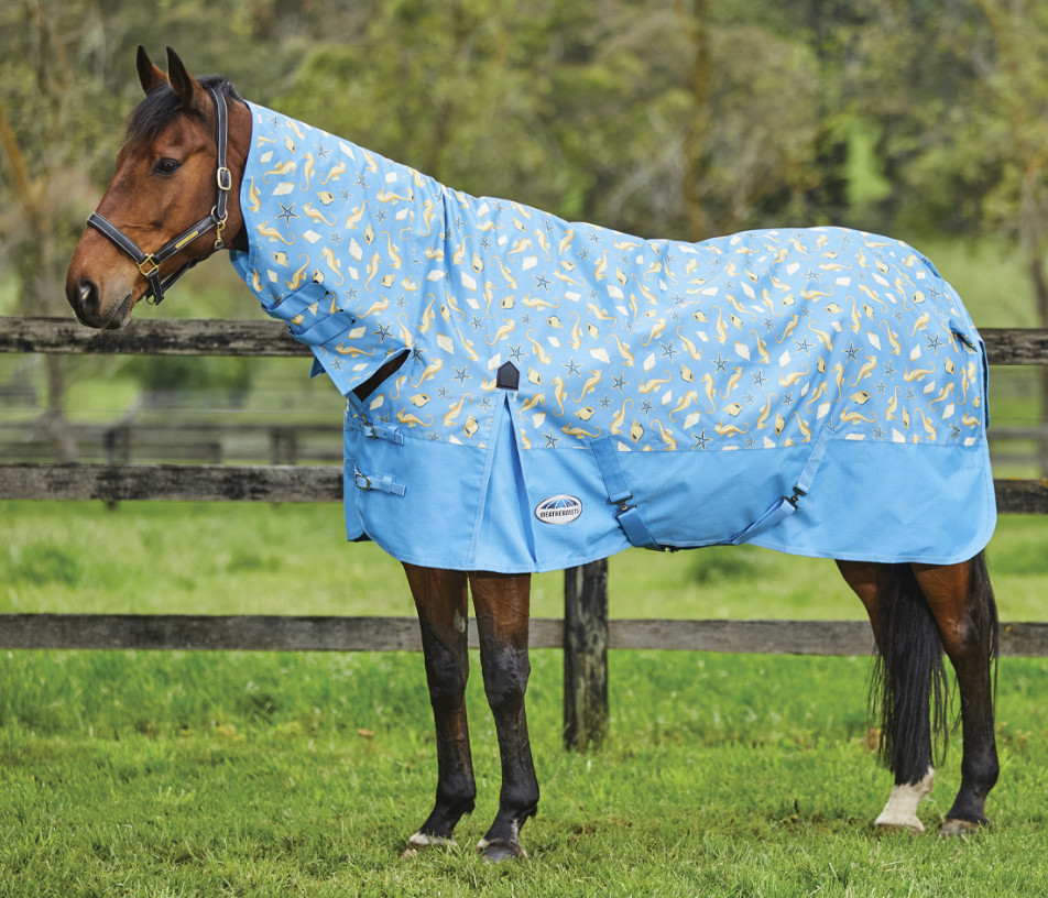 Weatherbeetaコンフィテック・エッセンシャル・ポニーコンボライト0g2024’