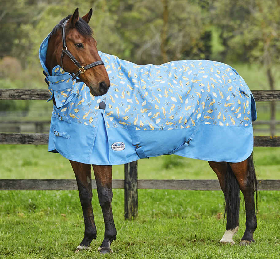 Weatherbeetaコンフィテック・エッセンシャル・ポニーコンボライト0g2024’