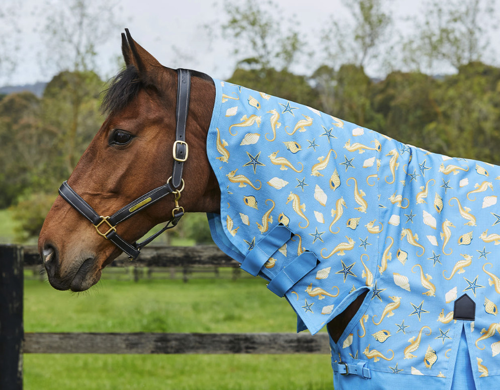 Weatherbeetaコンフィテック・エッセンシャル・ポニーコンボライト0g2024’