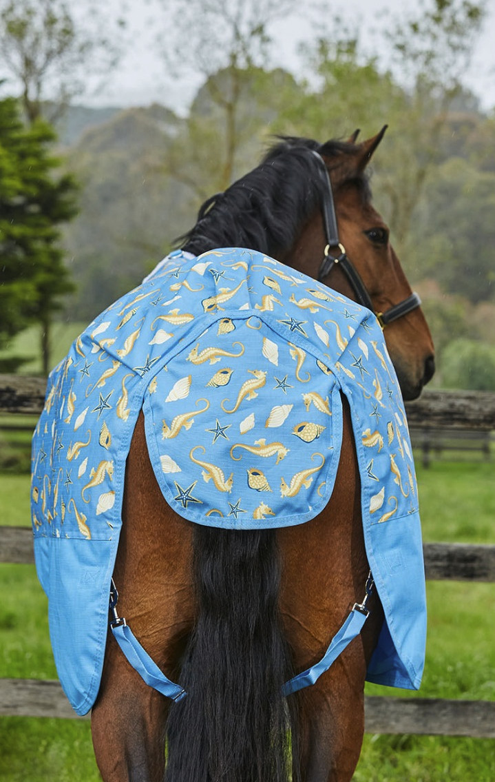 Weatherbeetaコンフィテック・エッセンシャル・ポニーコンボライト0g2024’