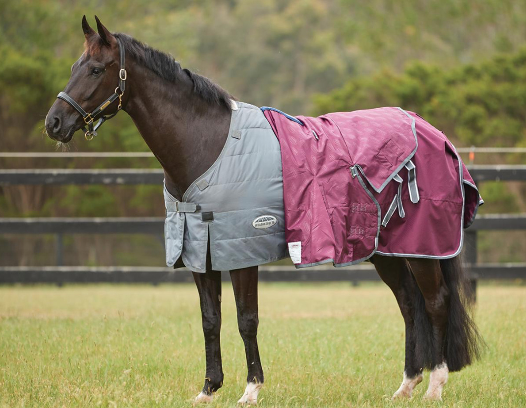 Weatherbeetaコンフィテック・プラスダイナミックデュオII・コンボミディアムライト100g