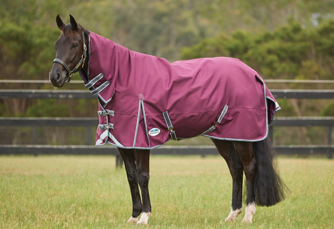 Weatherbeetaコンフィテック・プラスダイナミックデュオII・コンボミディアムライト100g