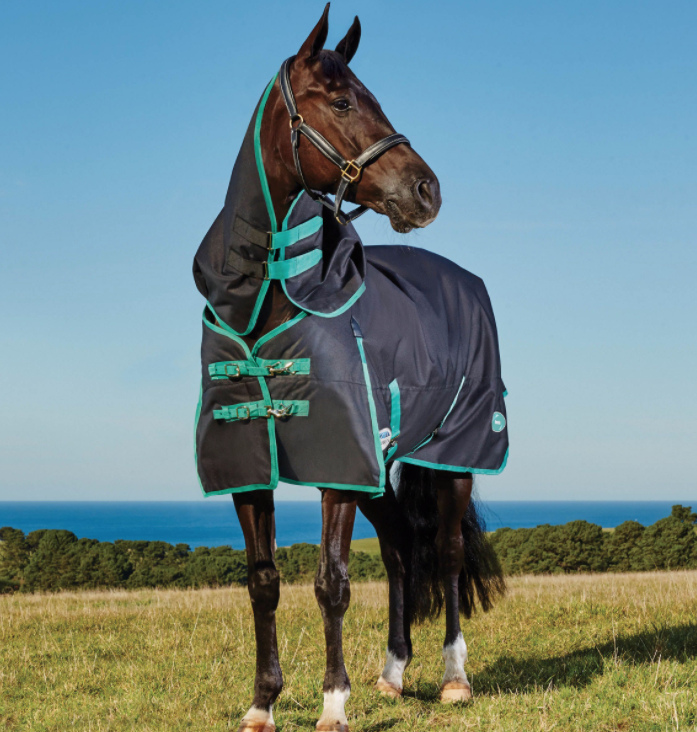 Weatherbeetaグリーンテック・ネック脱着ポニーコンボミディアム220g