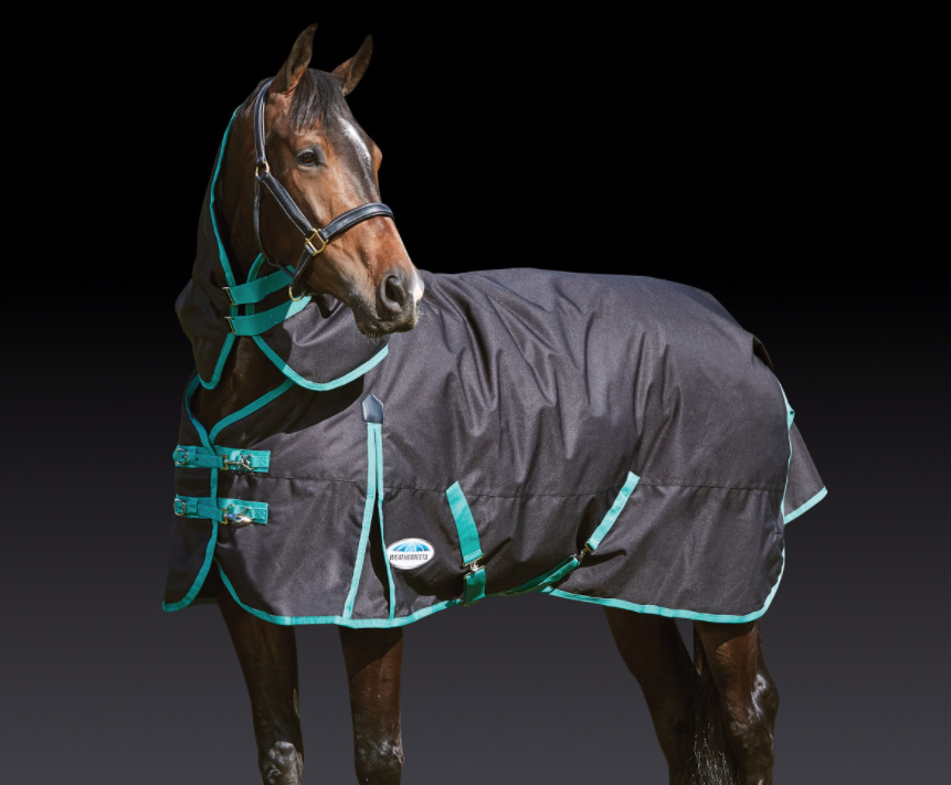 Weatherbeetaグリーンテック・ネック脱着ポニーコンボミディアム220g