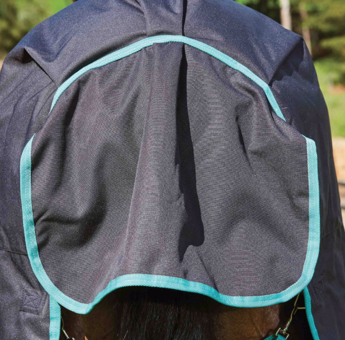 Weatherbeetaグリーンテック・ネック脱着ポニーコンボミディアム220g