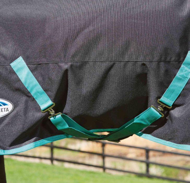 Weatherbeetaグリーンテック・ネック脱着ポニーコンボミディアム220g