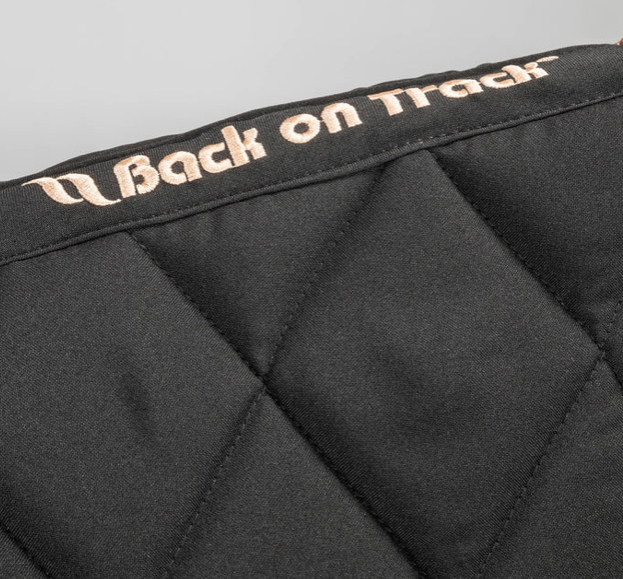 Back on Trackヘイズコレクション馬場ゼッケン