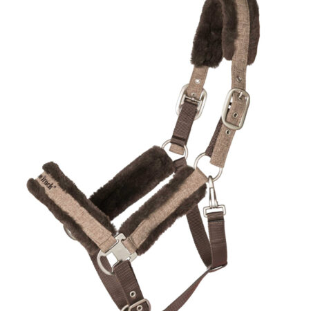 Back on Trackヘイズコレクション・セラピック無口