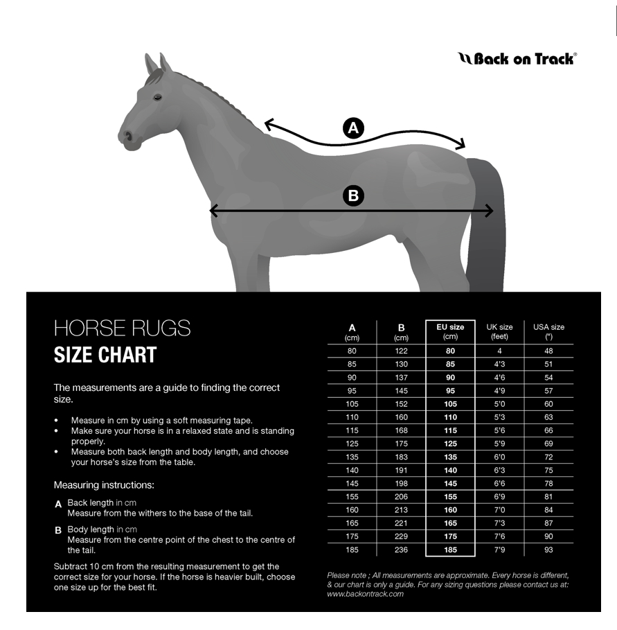 Back on TrackロイヤルDXセラピック・メッシュラグ - 画像 (11)