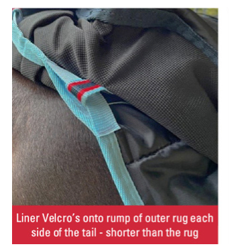 Zilcoディフェンダー・ネック脱着コンボ100g - 画像 (7)