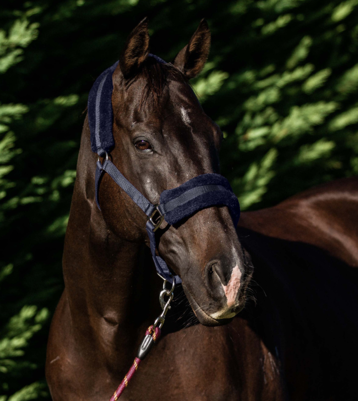 Flair幅広フリース無口