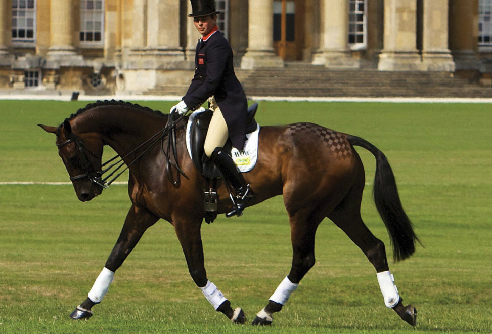 Woof WearネオプレンWベルクロ・ブラッシングブーツ