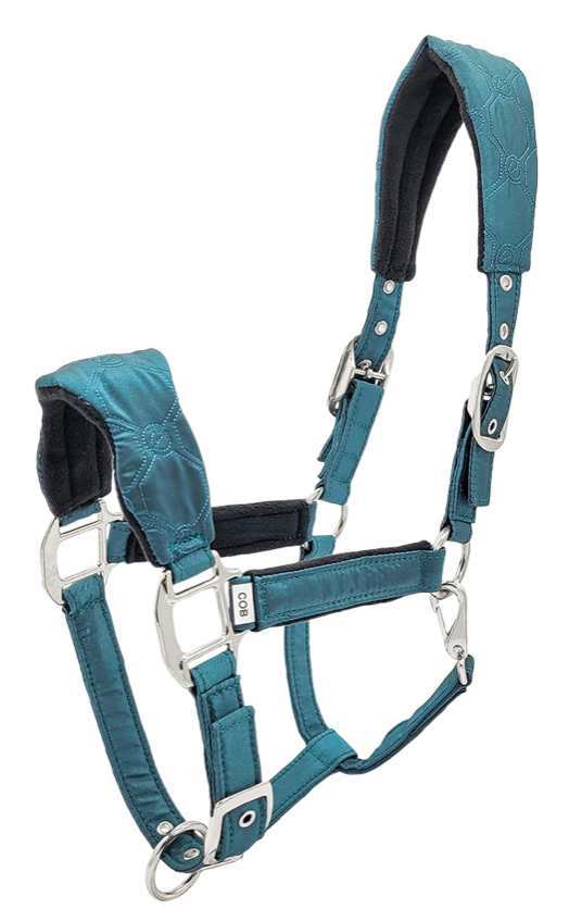 Zilcoシマー無口