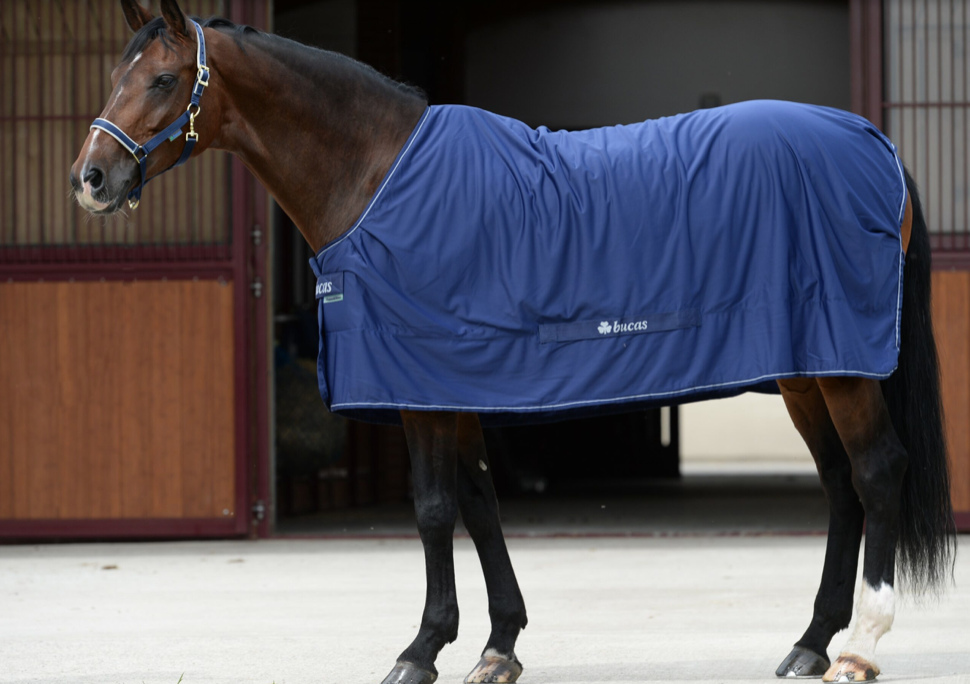 Bucasシャムロック・クーラーラグ