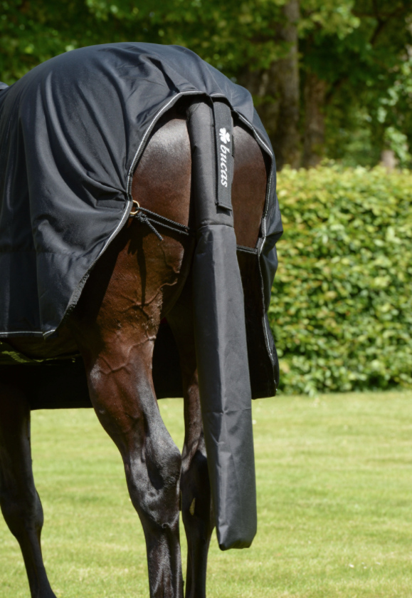 Bucasテール・プロテクター