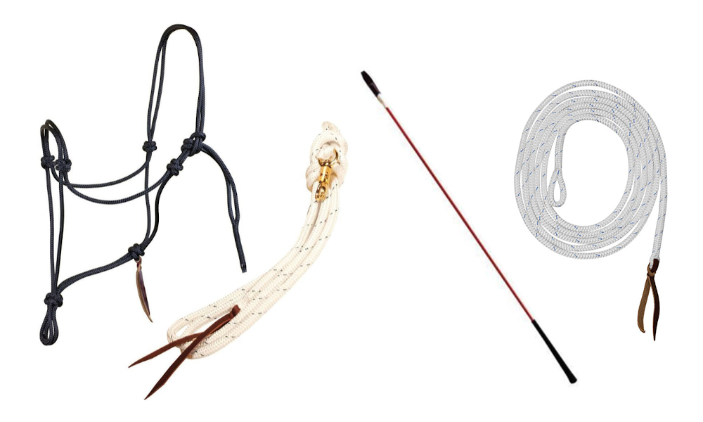 Parelliナチュラルホースマンシップ・トレーニングセット