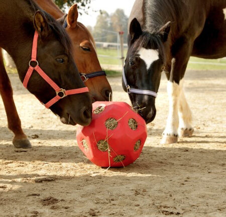 Kerbl馬用おもちゃヘイボール