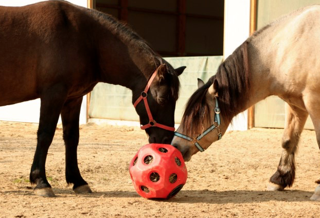 Kerbl馬用おもちゃヘイボール