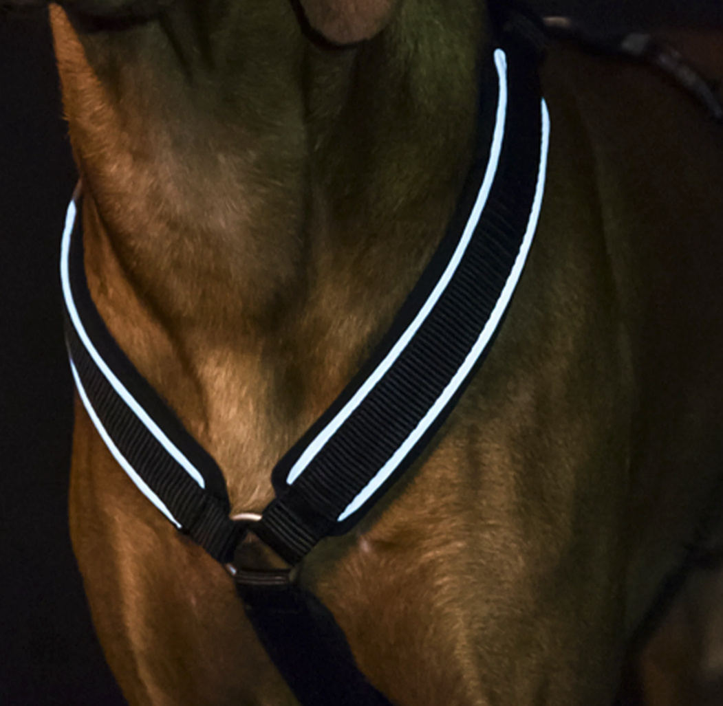 Back on Track Maxドッグハーネス