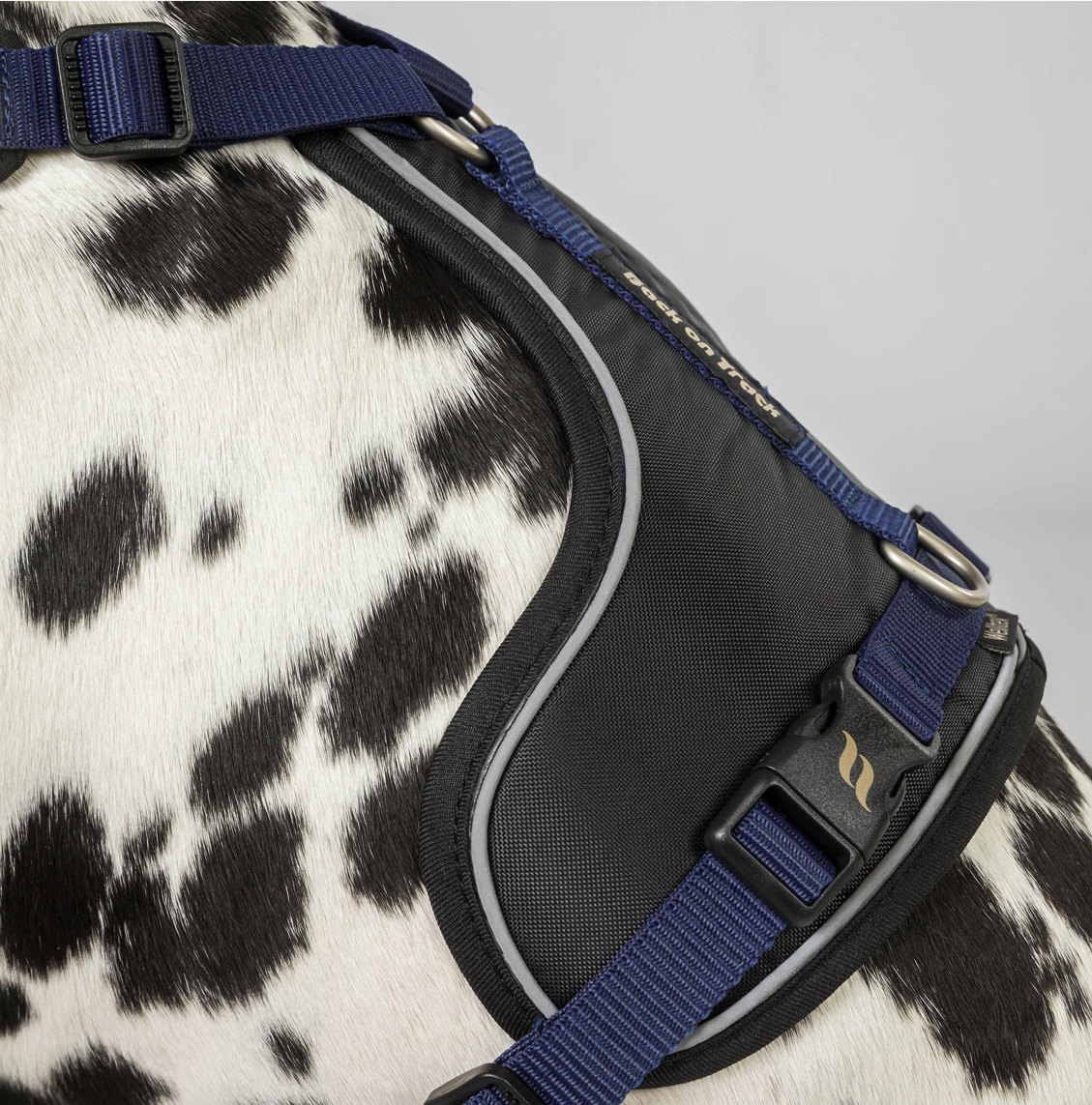 Back on Track Maxドッグハーネス