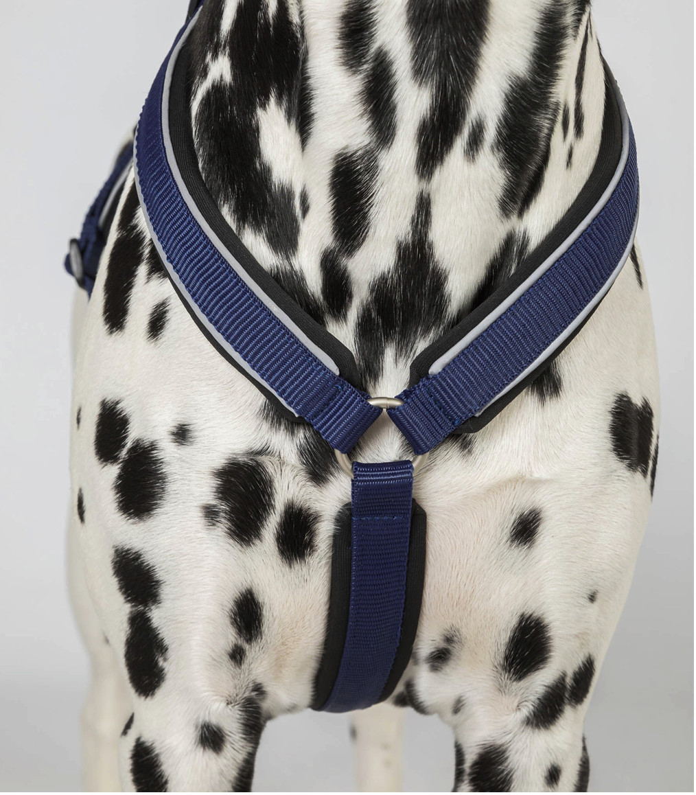 Back on Track Maxドッグハーネス