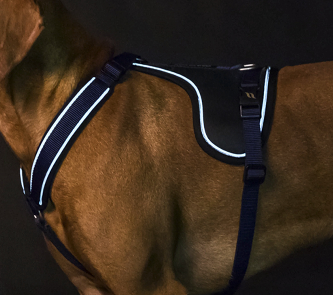 Back on Track Maxドッグハーネス