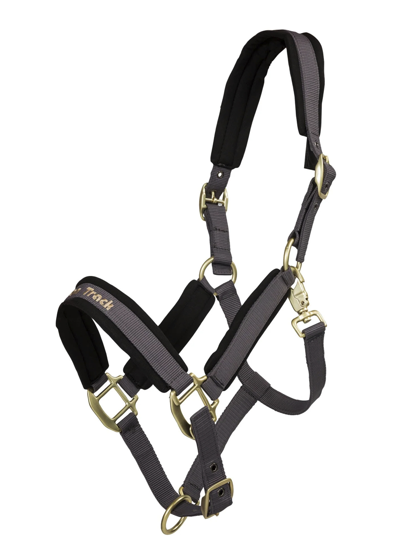 Back on Trackウェラノ・セラピック無口