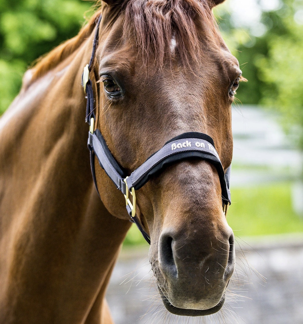 Back on Trackウェラノ・セラピック無口