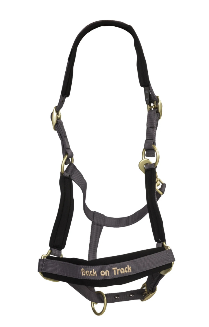 Back on Trackウェラノ・セラピック無口