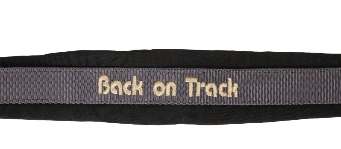 Back on Trackウェラノ・セラピック無口