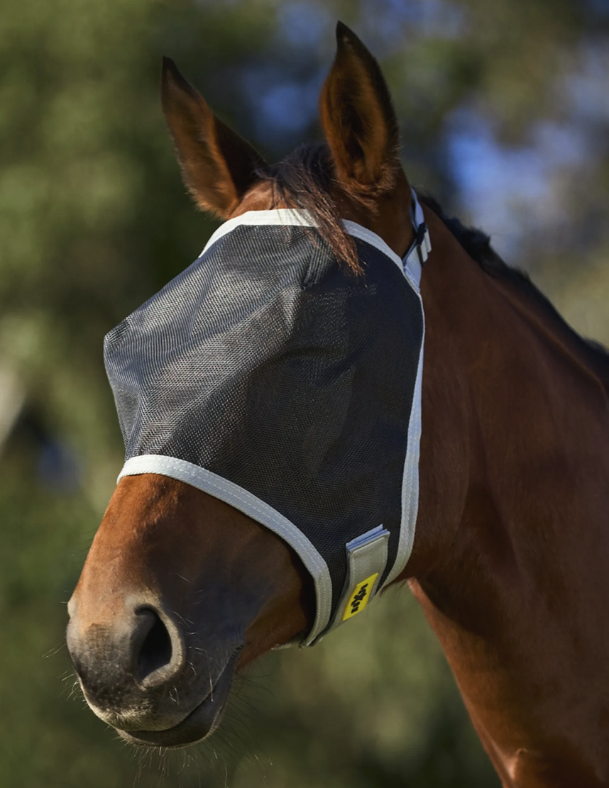 Saxonメッシュフライ・マスク