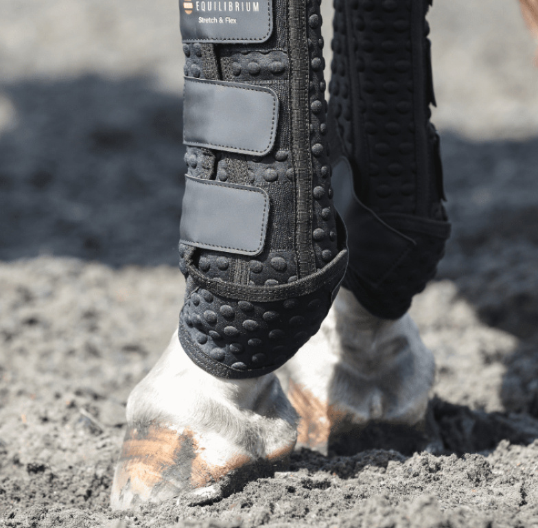 Equilibriumストレッチ&フレックス・トレーニングラップ