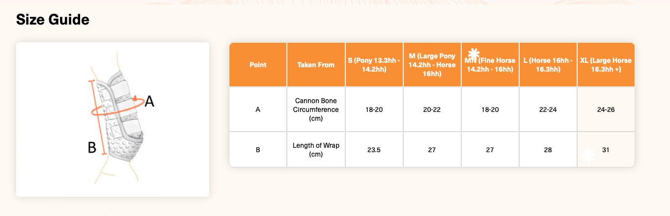 Equilibriumストレッチ&フレックス・トレーニングラップ