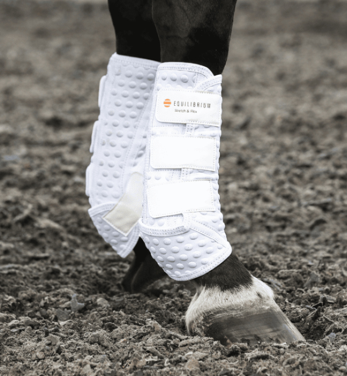 Equilibriumストレッチ&フレックス・トレーニングラップ