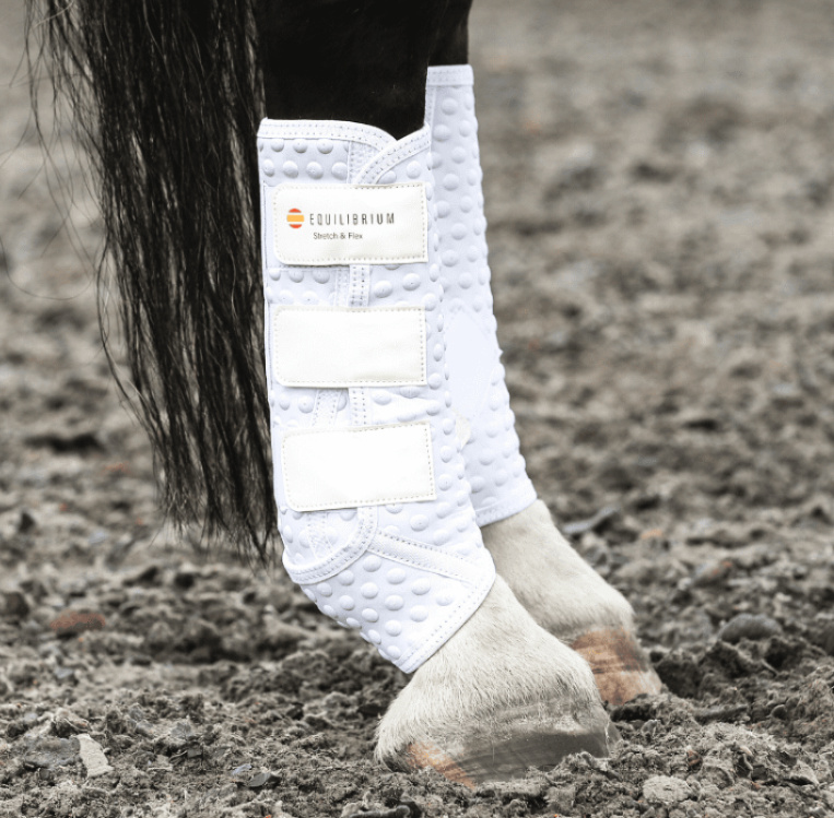 Equilibriumストレッチ&フレックス・トレーニングラップ