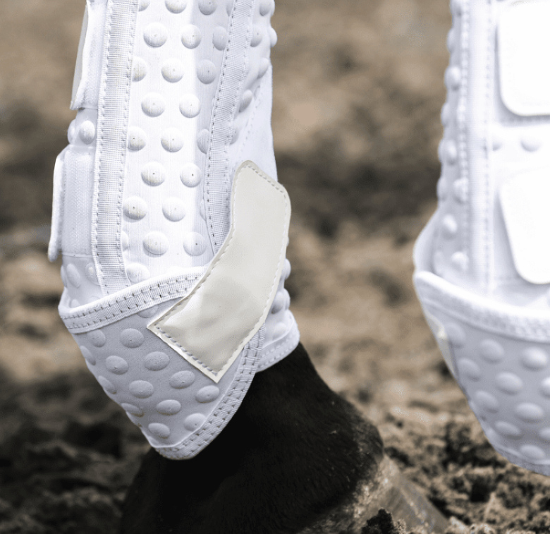 Equilibriumストレッチ&フレックス・トレーニングラップ