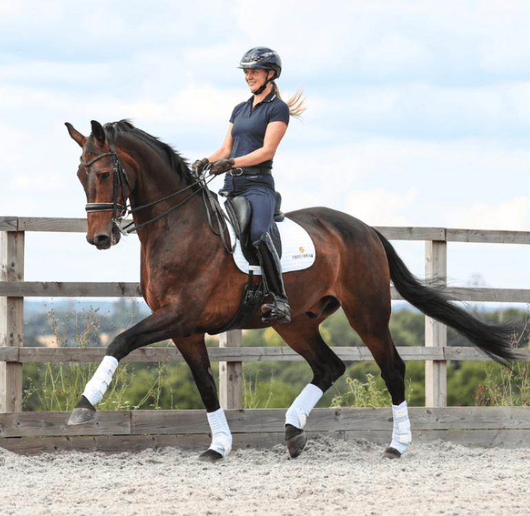 Equilibriumストレッチ&フレックス・トレーニングラップ