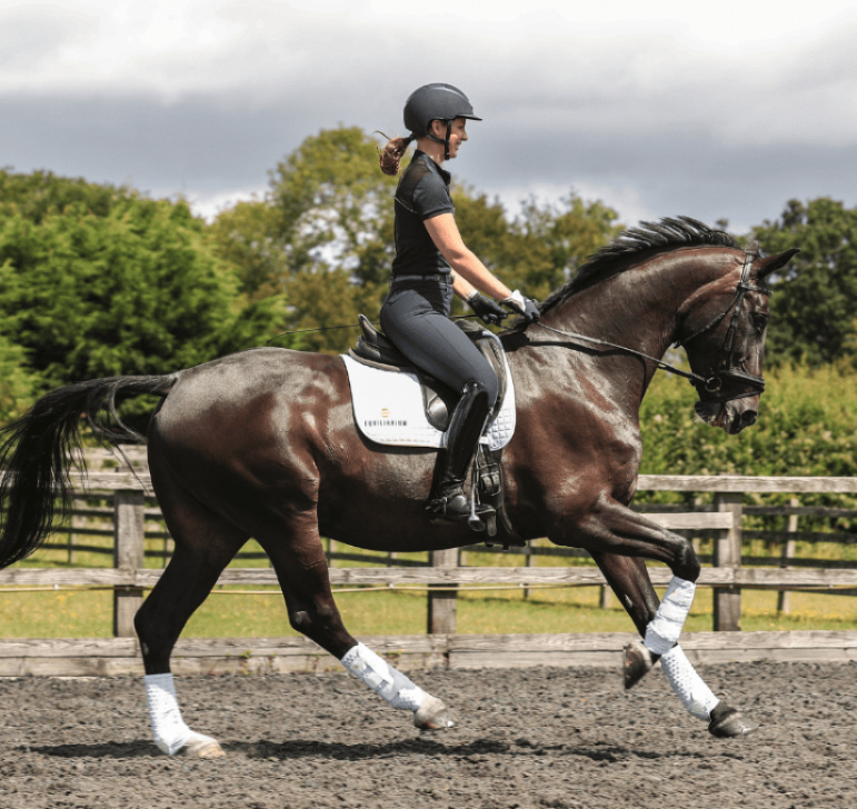 Equilibriumストレッチ&フレックス・トレーニングラップ