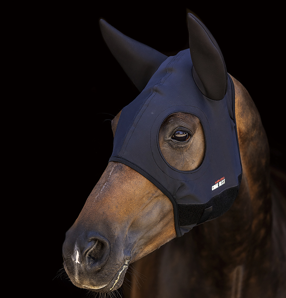 LAMI-CELLチタニウム・耳付きセラピーフード