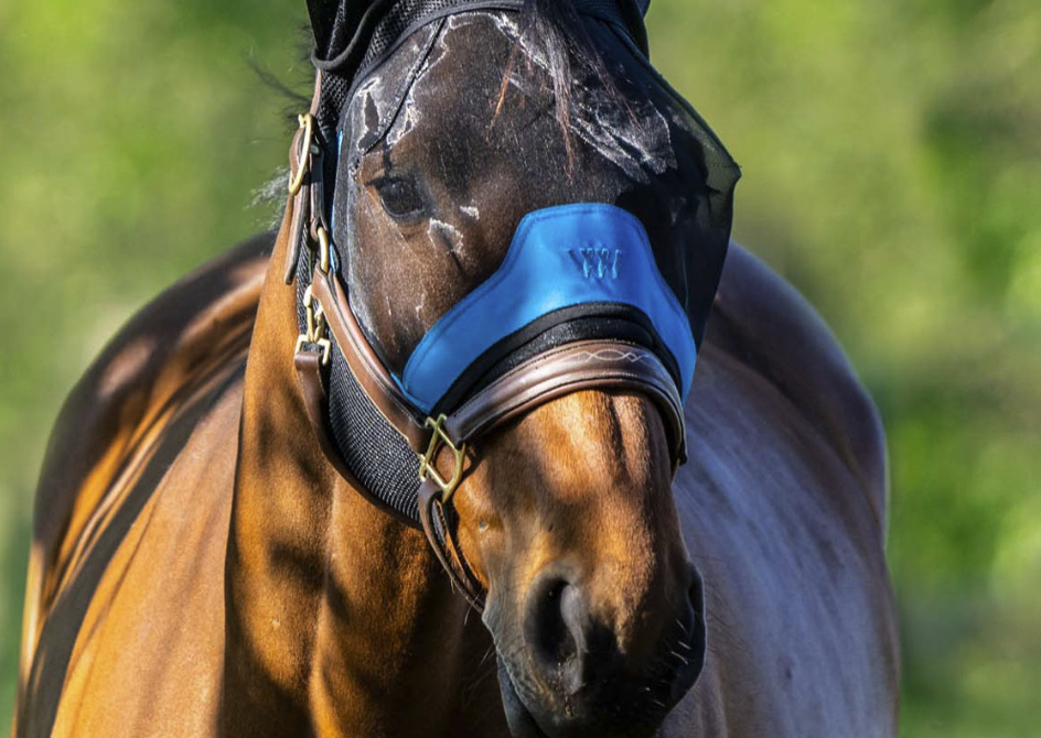 Woof Wear耳付きフライマスク